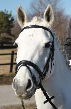 lady-profil1